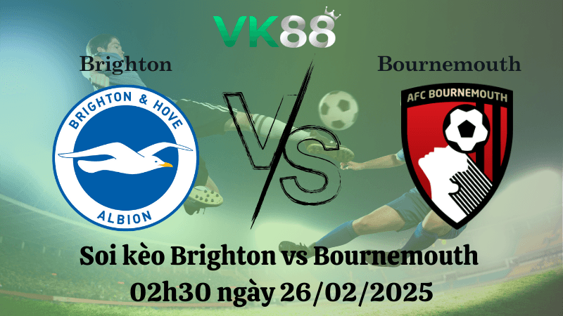 VK88 Nhận định soi kèo Brighton vs Bournemouth 02h30 ngày 26/02/2025 - Ngoại Hạng Anh