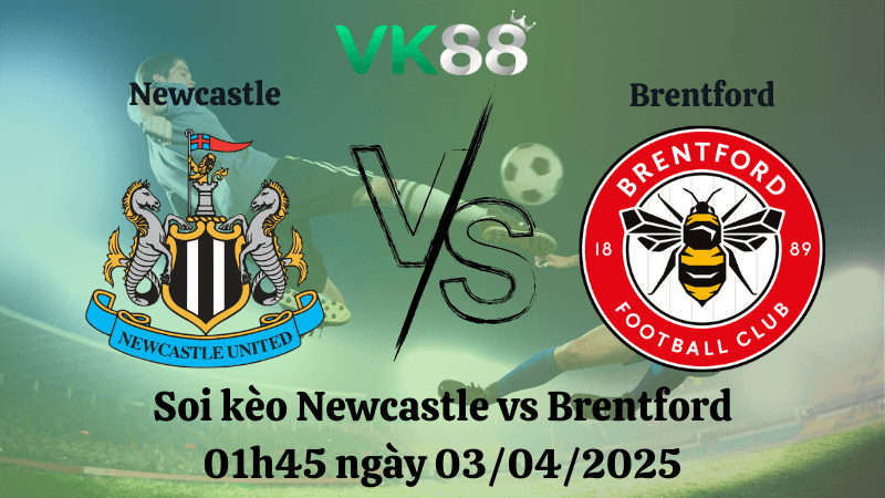 VK88 Nhận định soi kèo Newcastle vs Brentford 01h45 ngày 03/04/2025 - Ngoại hạng Anh